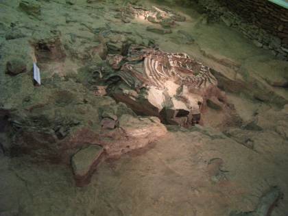 หลุมขุดพบซากไดโนเสาร์ ภูกุ้มข้าว จังหวัดกาฬสินธุ์ เยี่ยมชม ๐๘ มีค. ๒๕๕๒
